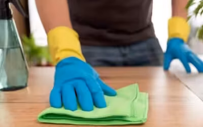 professional house cleaning service
