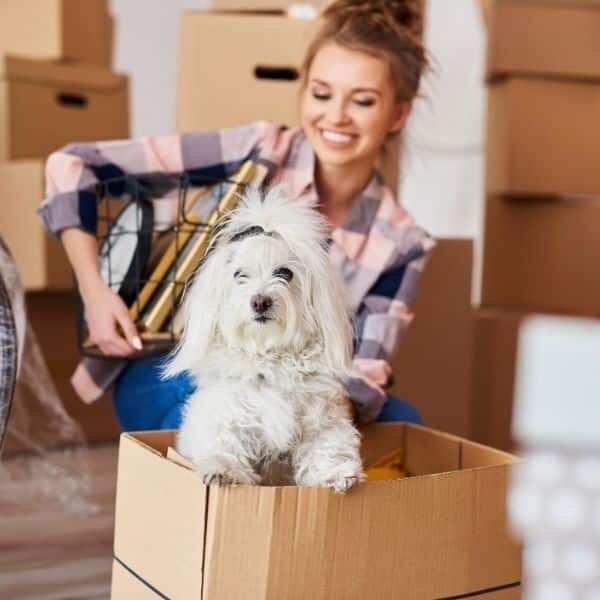 A client and her dog moving into a clean new apartment.